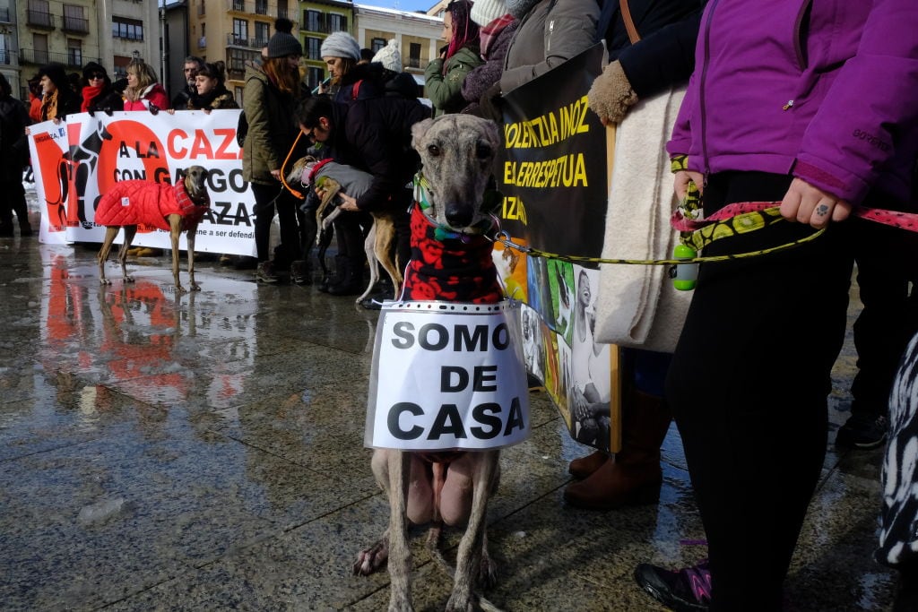 Manifestación contra el uso de perros en la caza.