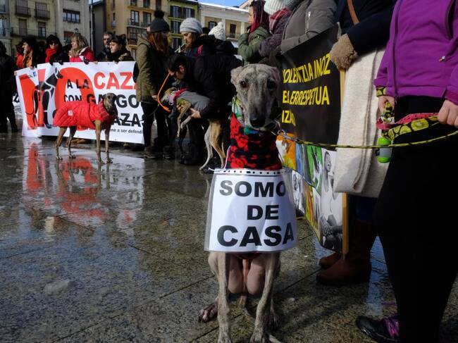 Manifestación contra el uso de perros en la caza.