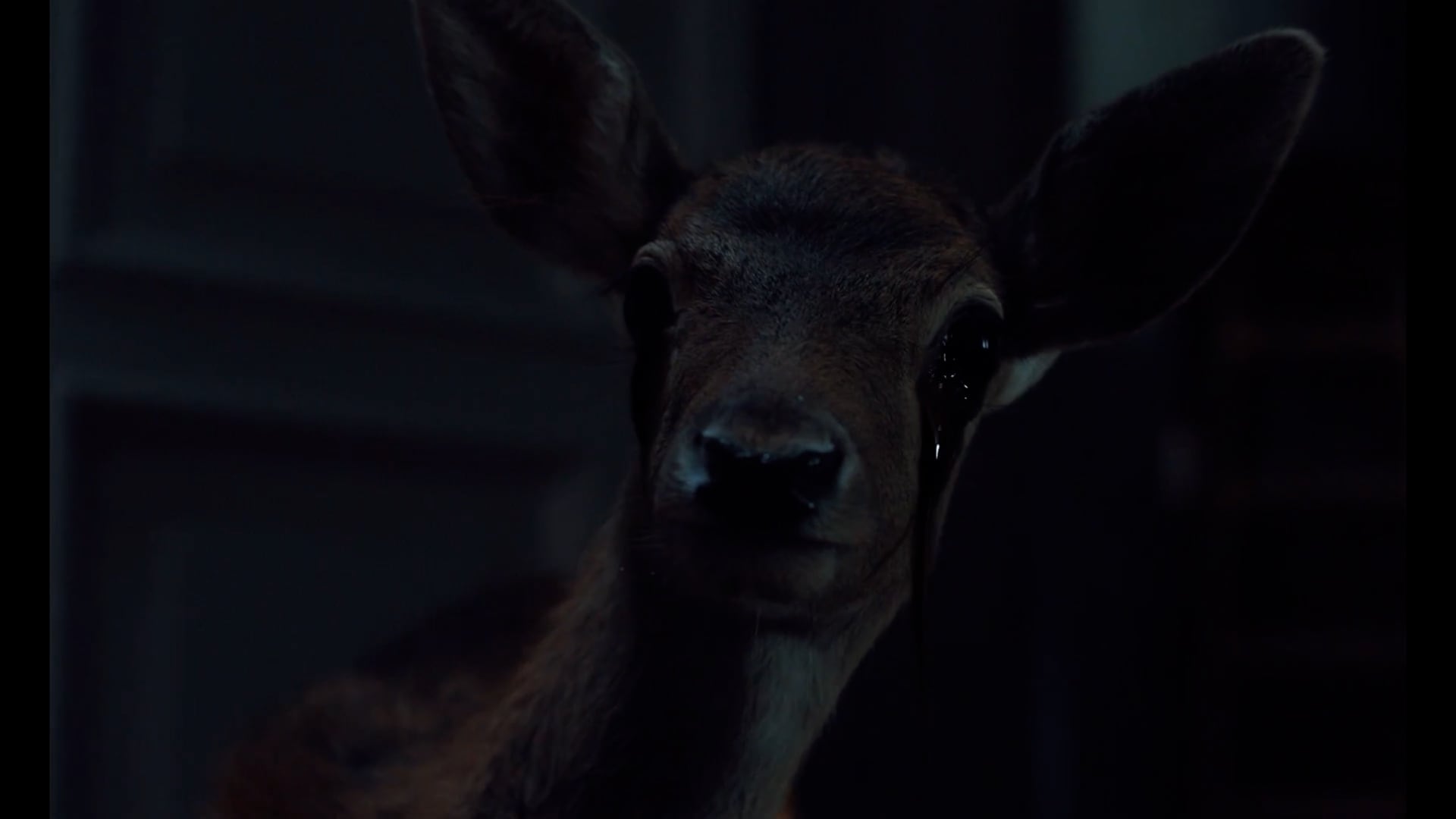 Plano número 17 del videoclip de &#039;Berghain&#039;