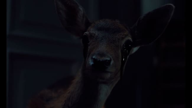 Plano número 17 del videoclip de 'Berghain'