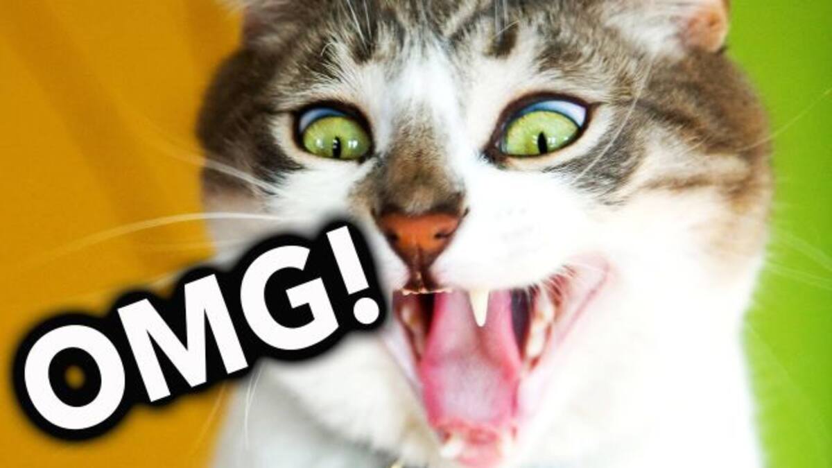 Top10: No nos sorprende