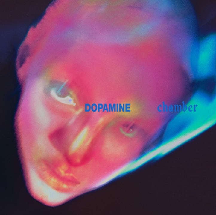 Portada de Dopamine Chamber, el nuevo álbum de la banda irlandesa Fontaines D.C.
