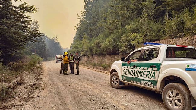 Bomberos forestales argentinos trabajan para combatir los incendios.