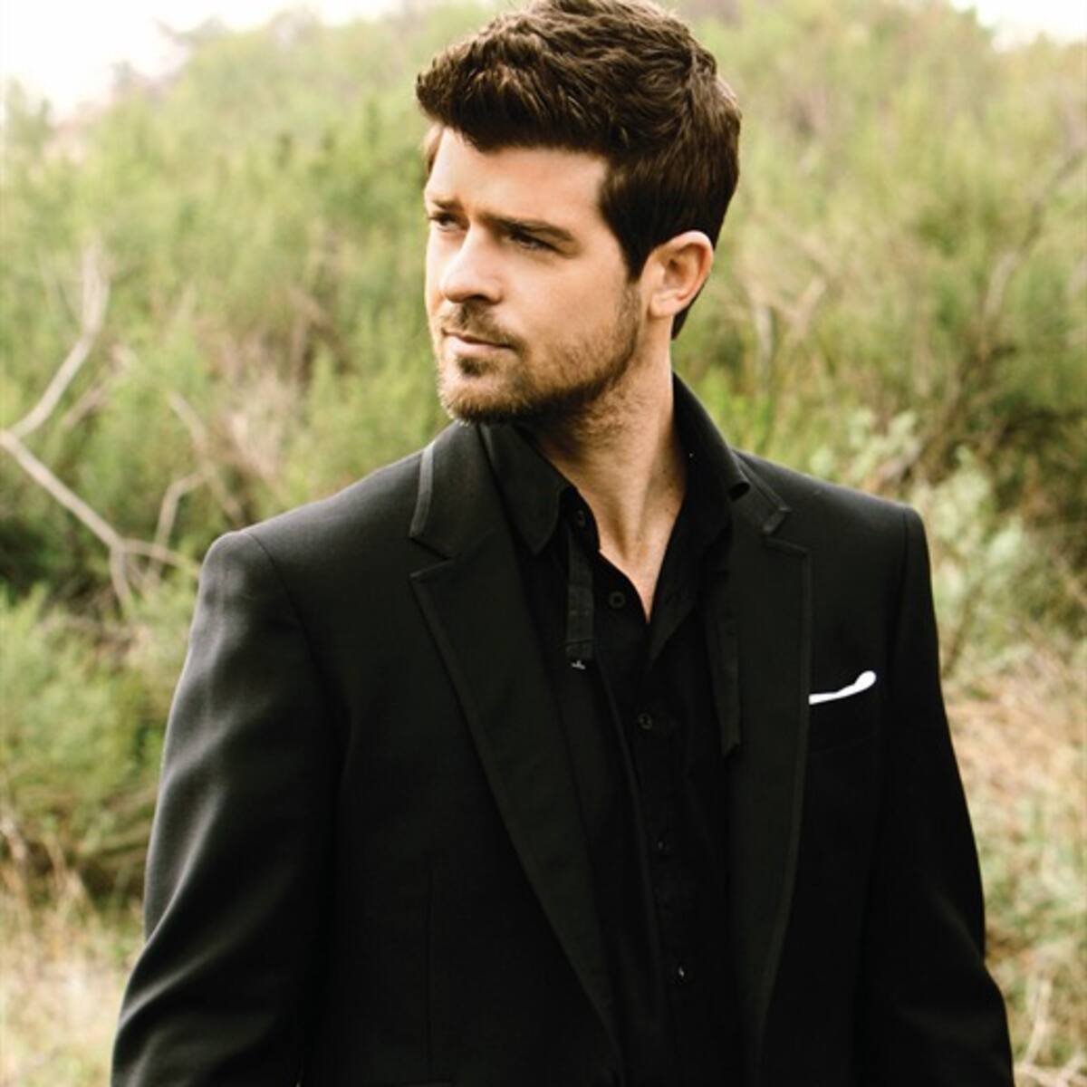 Jessie J no se desnudará para Robin Thicke