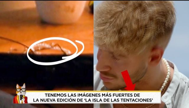 El collar que delataría a David.