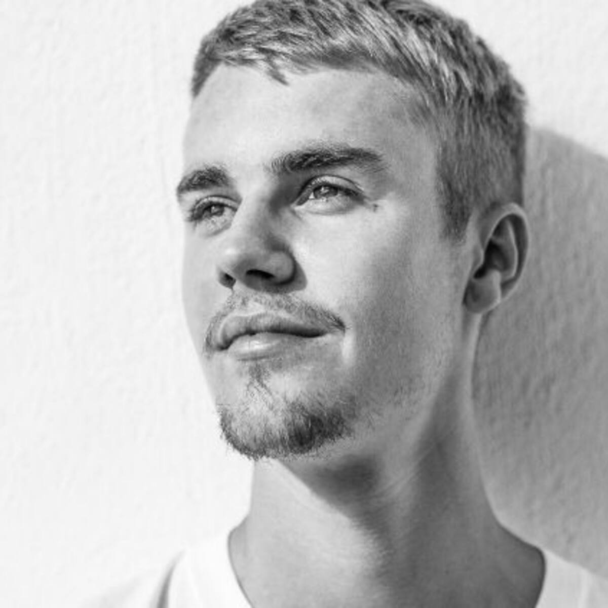 Critican a Justin Bieber por comprar dos gatos exóticos por 35.000 dólares