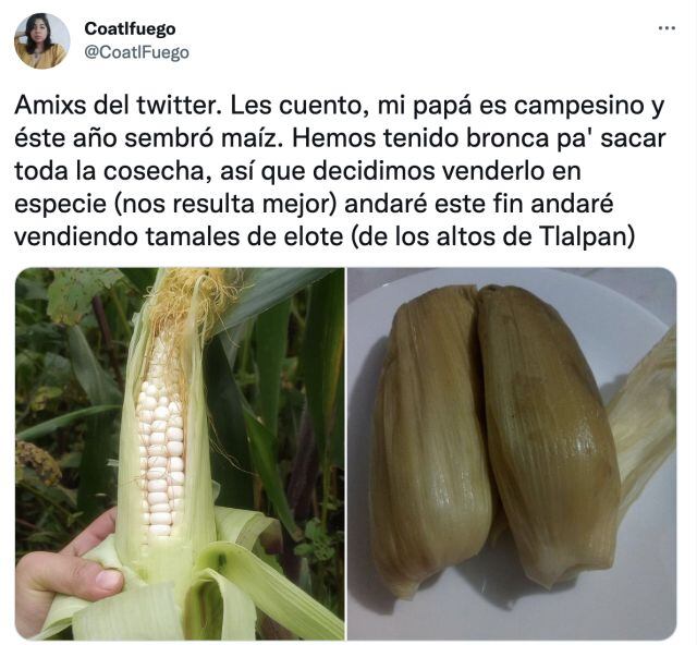 Joven vende tamales para ayudar a su papá, se hace viral