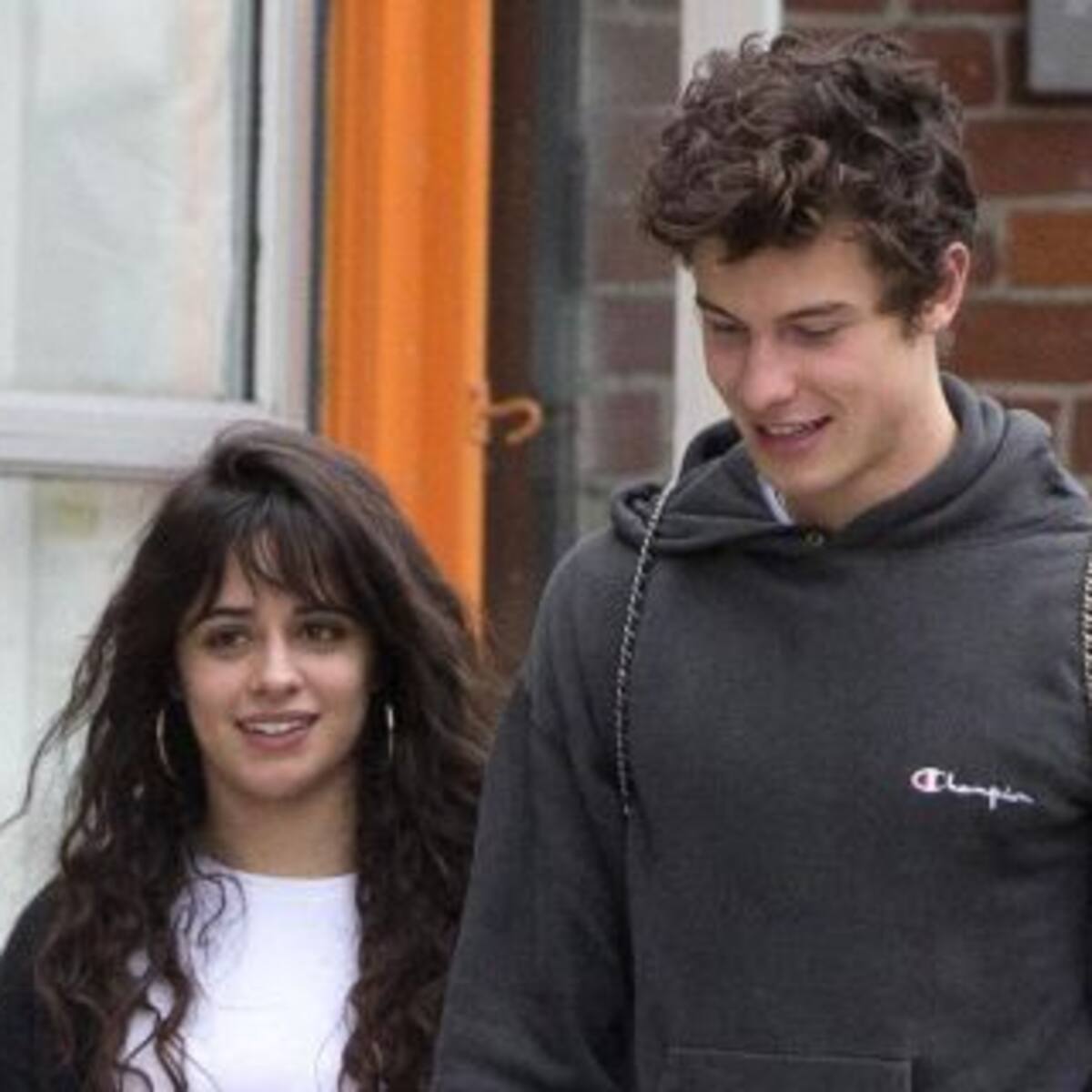 Así pasan la cuarentena Camila Cabello y Shawn Mendes