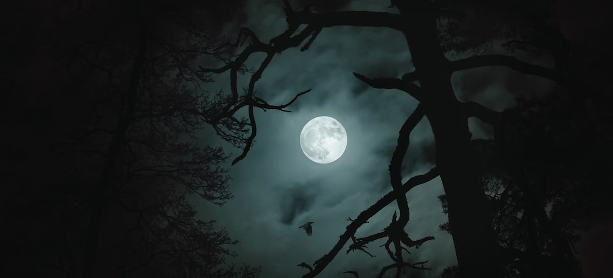 Luna de lobo, la primera luna llena del año