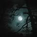 Luna llena de enero 2024: Cuándo y cómo ver la Luna de lobo