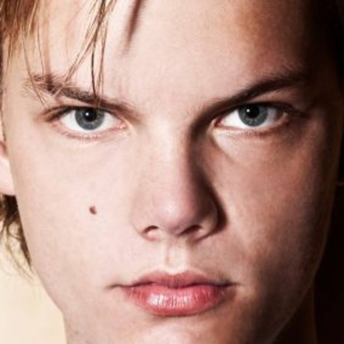 Avicii tiene nuevo video con la ayuda de sus fans
