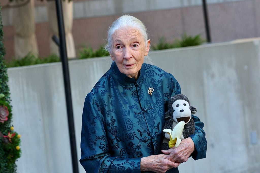 Jane Goodall, el pasado abril en Los Angeles.