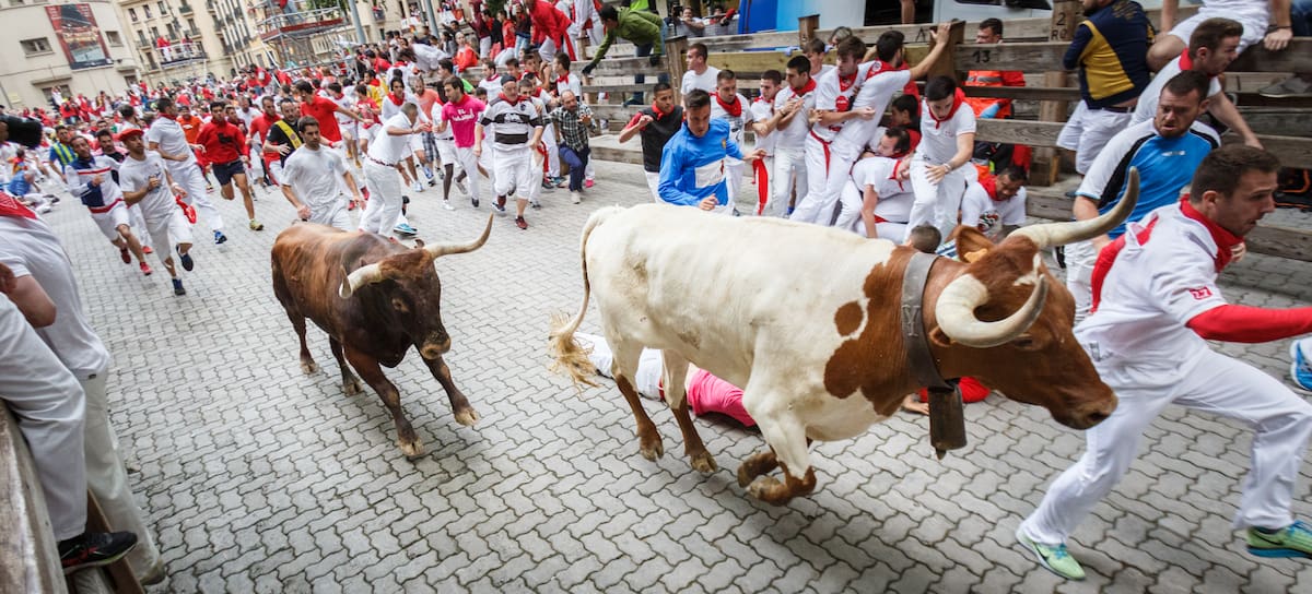 Encierro de toros en las fiestas de San Fermín