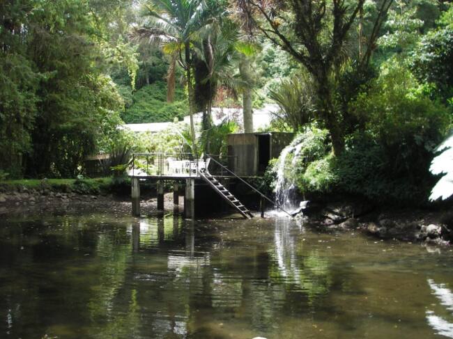 Finca Drácula