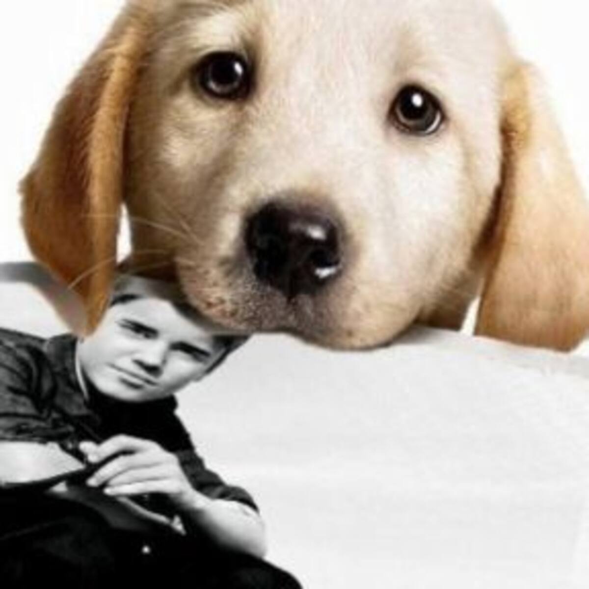 El Perro de Justin Bieber es furor en Instagram