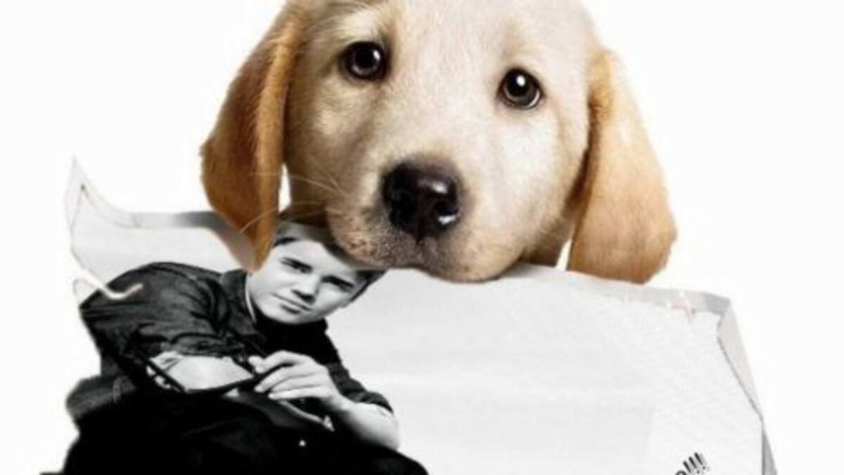 El Perro de Justin Bieber es furor en Instagram