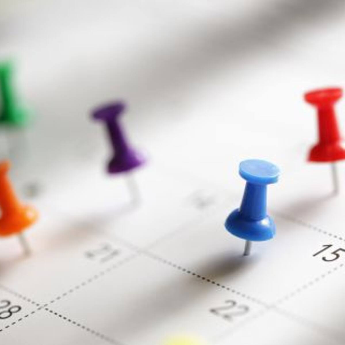 Feriados en Argentina: Mirá el calendario oficial del 2021