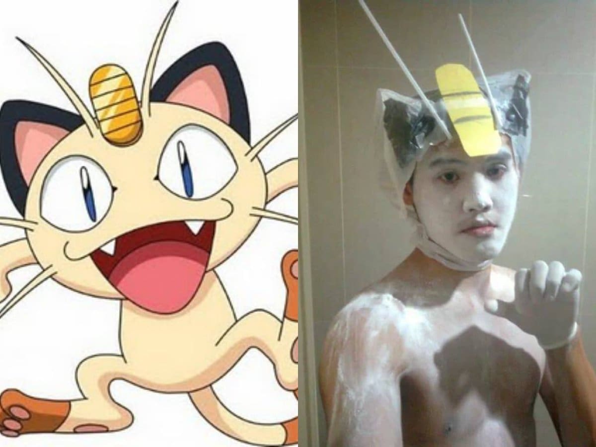 Meow!
