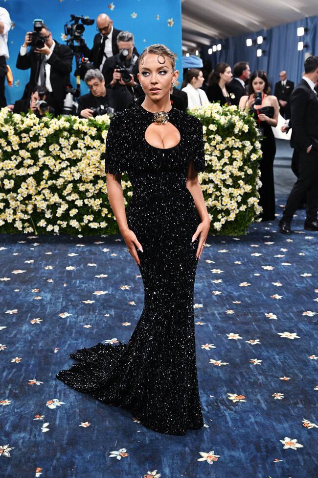 Sydney Sweeney, la actriz de Euphoria ha elegido un vestido de silueta sirena cubierto de flecos bordados de cuentas de Miu Miu y un recogido pulido que enmarca el rostro con los dos caracolillos a ambos lados de la frente.