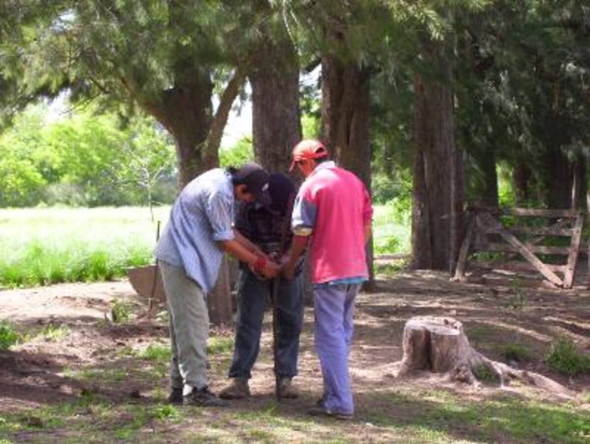 Chicos trabajando en la granja