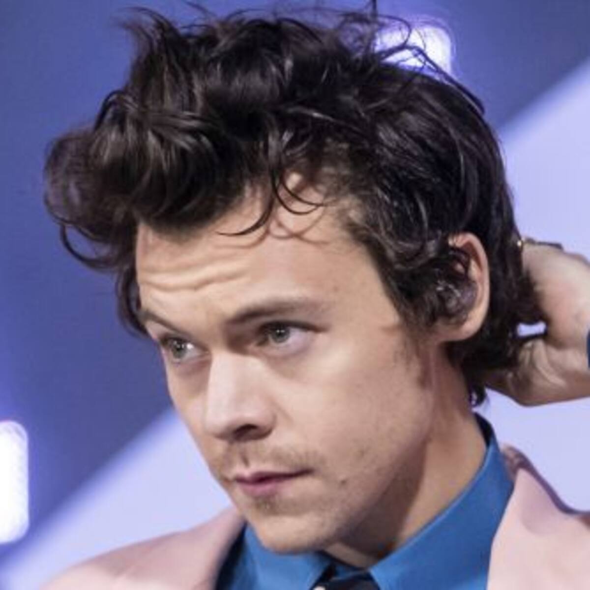 Harry Styles se retira de los escenarios temporalmente