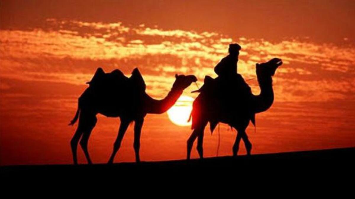 ¿Cómo hubiese sido el transporte público en tiempos de Jesús?
