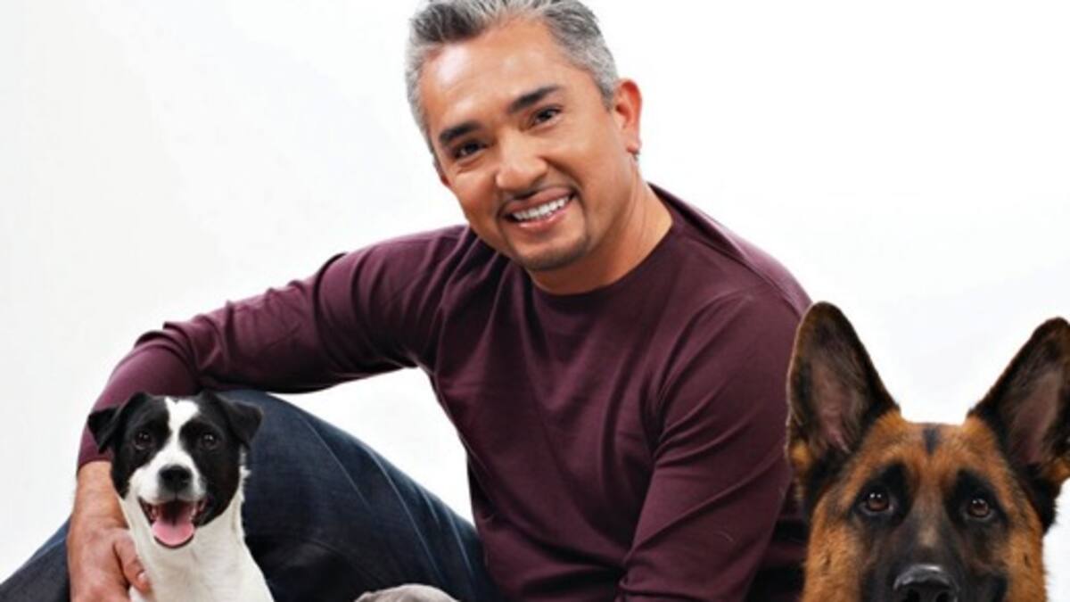 César Millán acusado de maltrato animal.