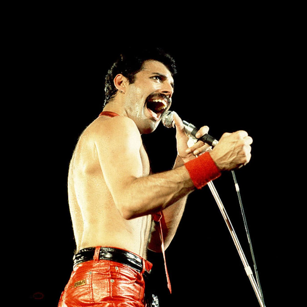 'Mother Love', la canción de Queen que Freddie Mercury dejó sin terminar y tiene una emotiva historia