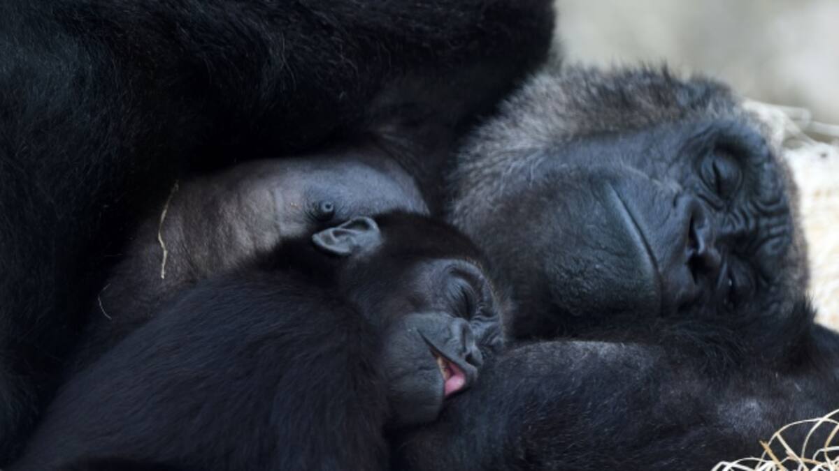 Dormir embellece, no es un mito