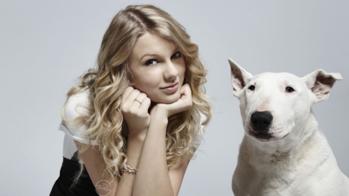Así son las mascotas de las celebrities