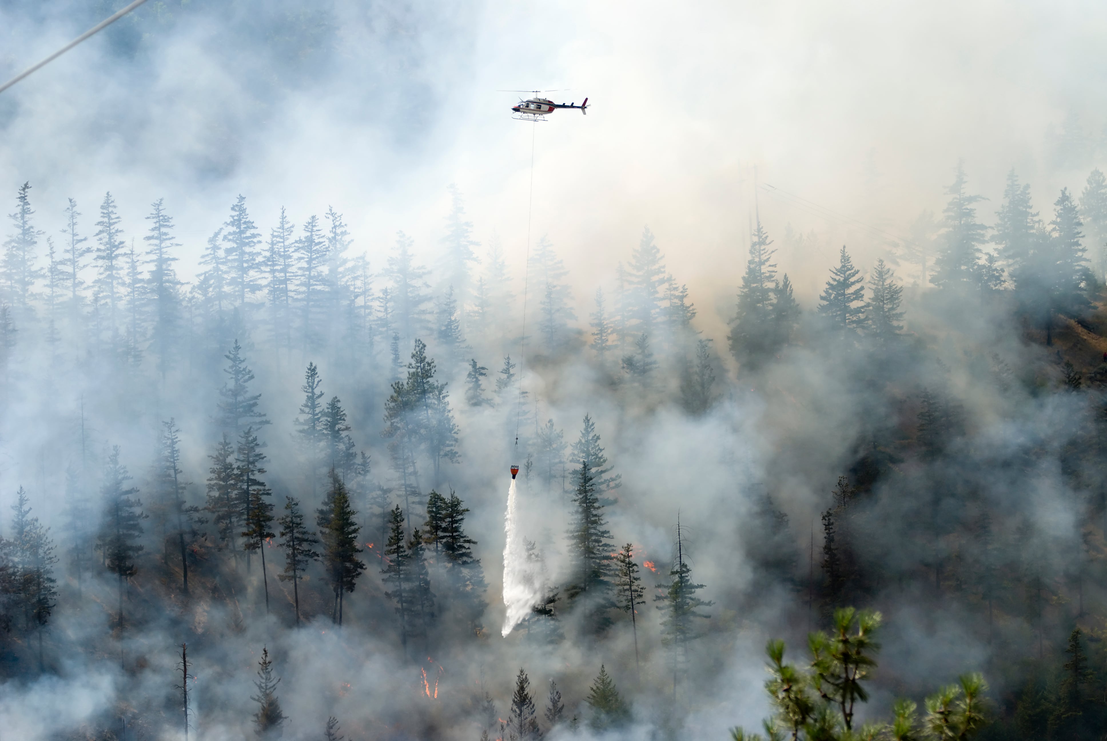 600 bomberos de EEUU se han desplazado a Canadá para combatir el fuego. 