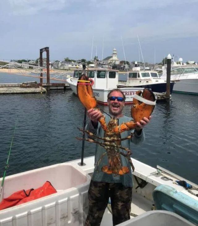 Michael Packard, un pescador originario de Provincetown, Massachusetts, sobrevivió luego de ser tragado por una ballena