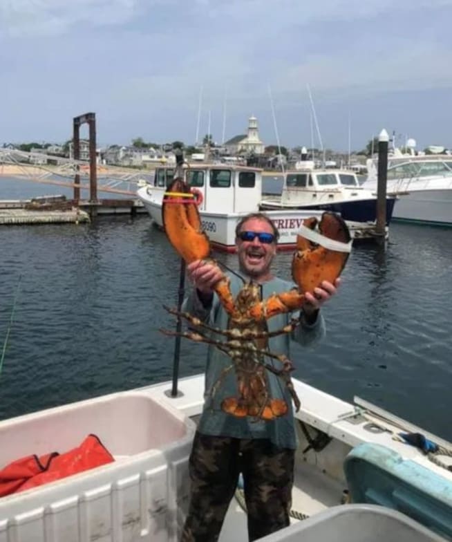 Michael Packard, un pescador originario de Provincetown, Massachusetts, sobrevivió luego de ser tragado por una ballena