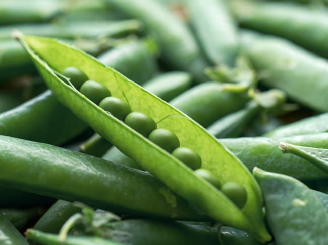 El superalimento clave que Harvard recomienda