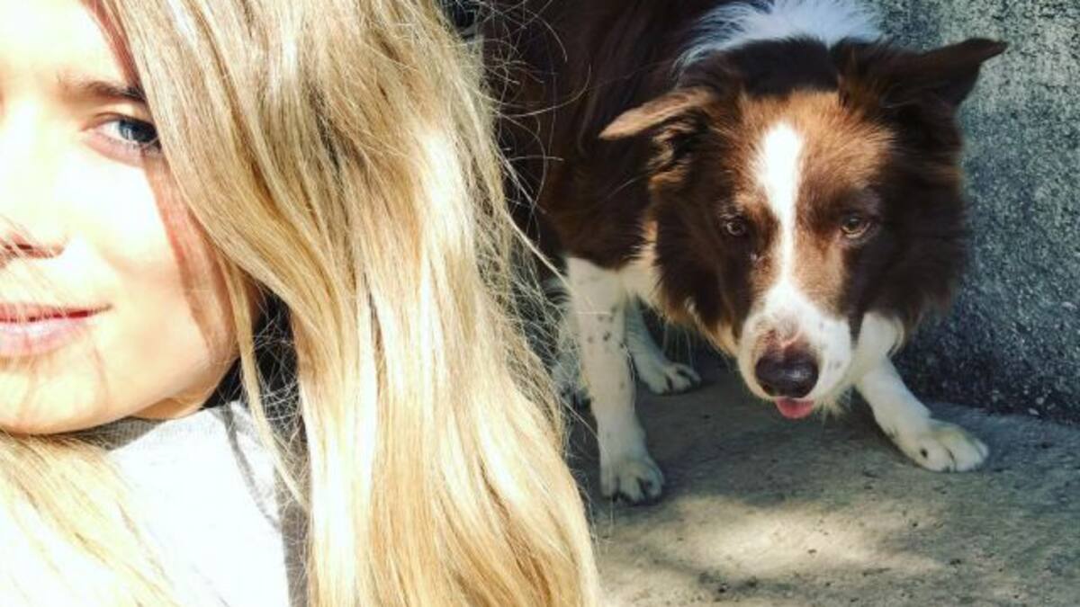 Cristina Boscá: “Mis perros me crean inquietud por el bebé pero me están dando una lección”