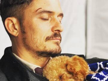Conoce a Mighty, el verdadero amor perruno de Orlando Bloom