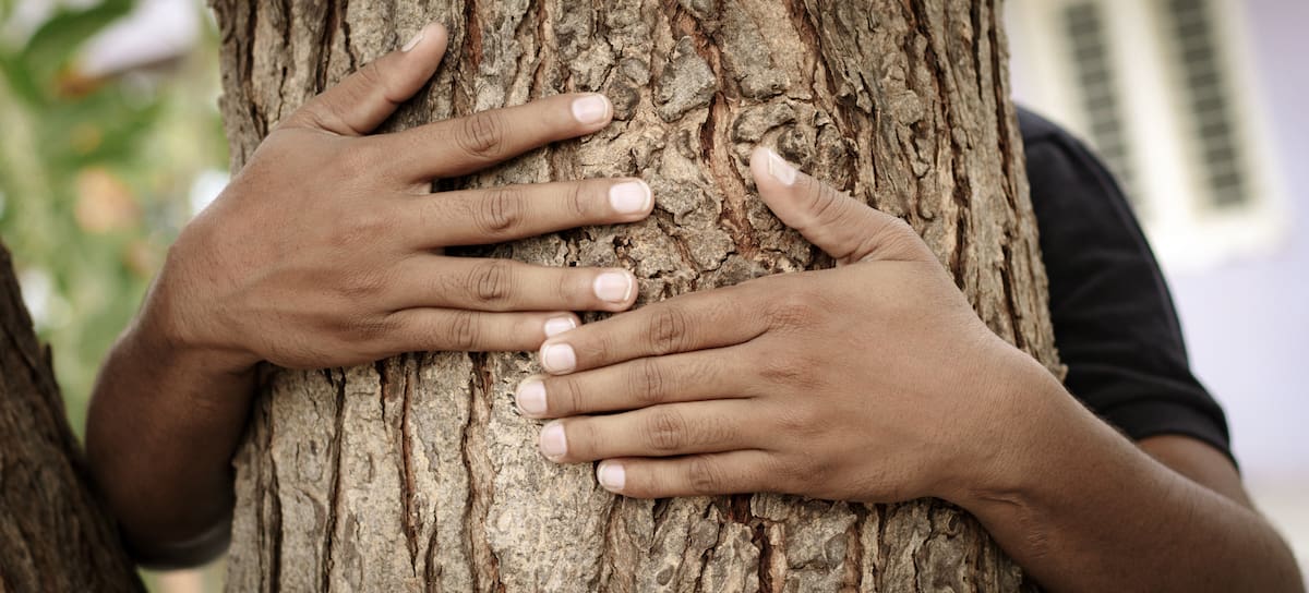 Abrazar árboles como lucha política: las lecciones de Chipko.