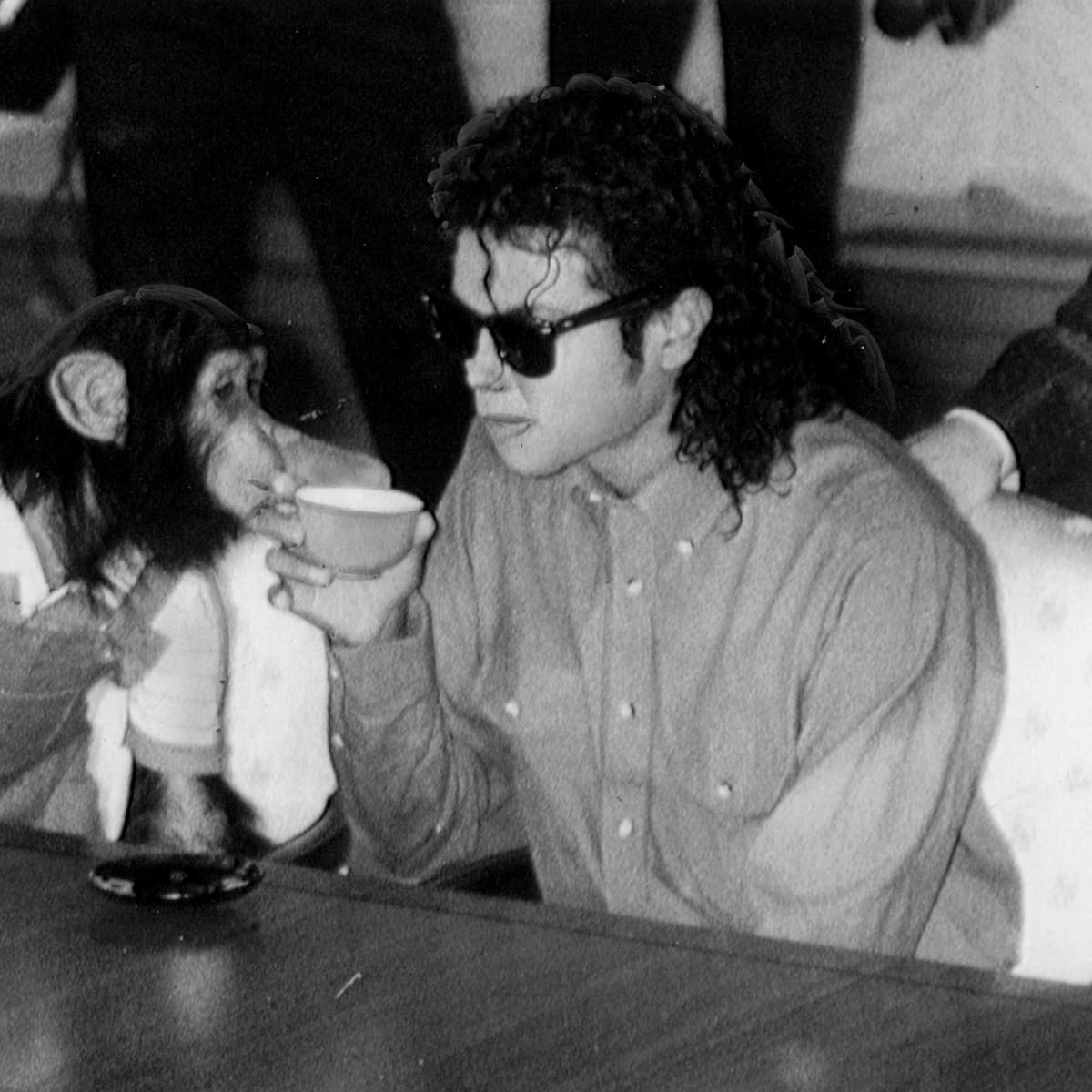 ¿Qué ha sido de Bubbles, el chimpancé de Michael Jackson? ¿Sigue vivo?