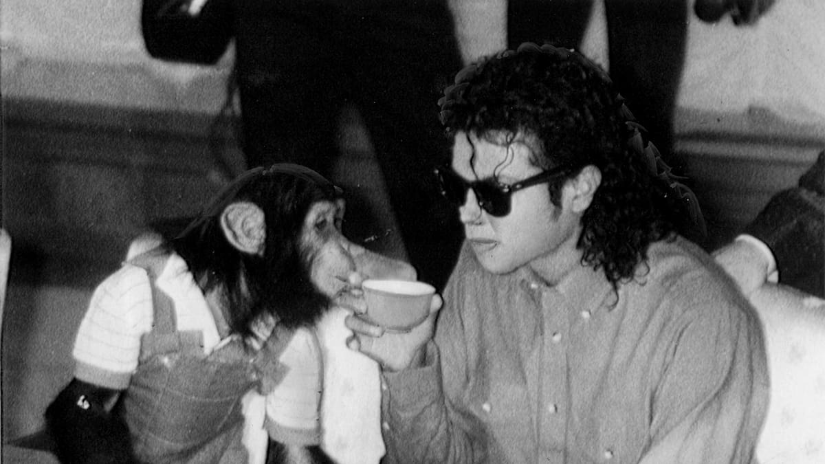 ¿Qué ha sido de Bubbles, el chimpancé de Michael Jackson? ¿Sigue vivo?