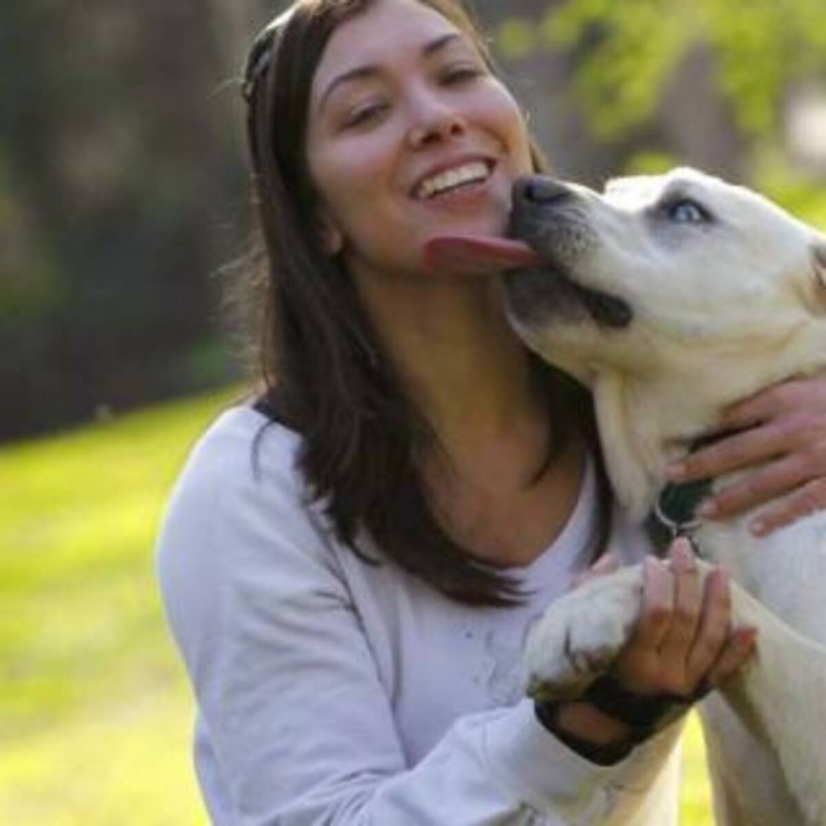 Según tu signo, ¿Qué raza de perro deberías adoptar?