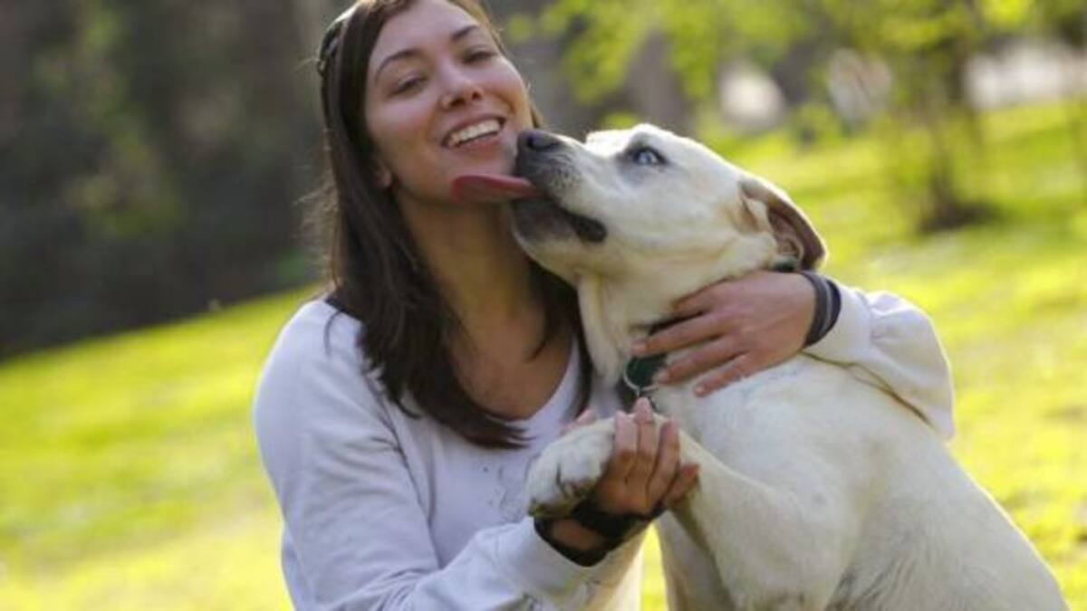 Según tu signo, ¿Qué raza de perro deberías adoptar?