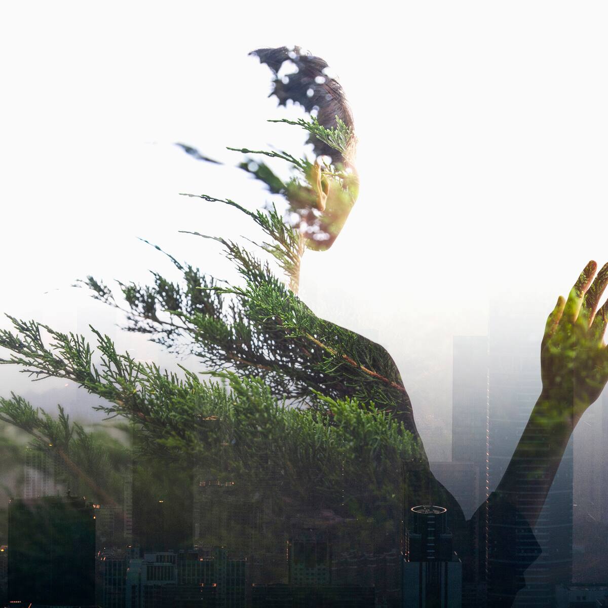 ¿Qué tienen que ver la depresión y la mala calidad del aire?