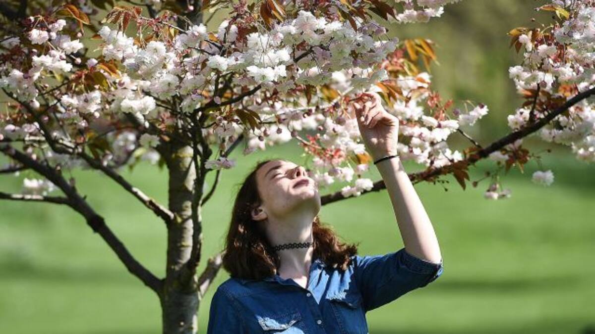 La Primavera… ¡La sangre altera!