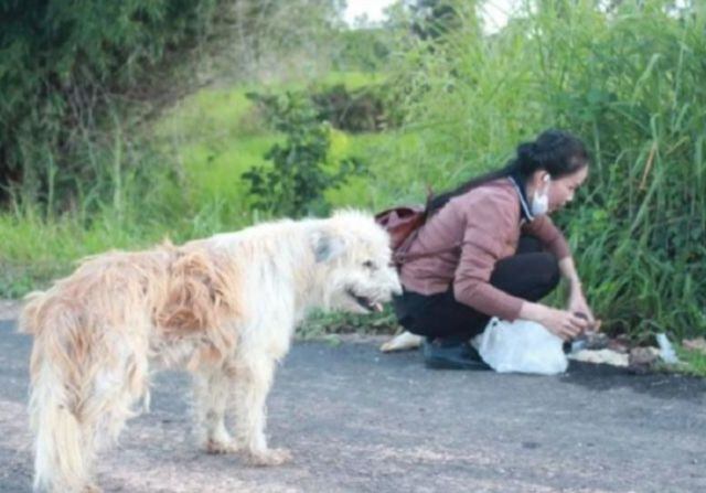 La mujer cada día le llevó de comer