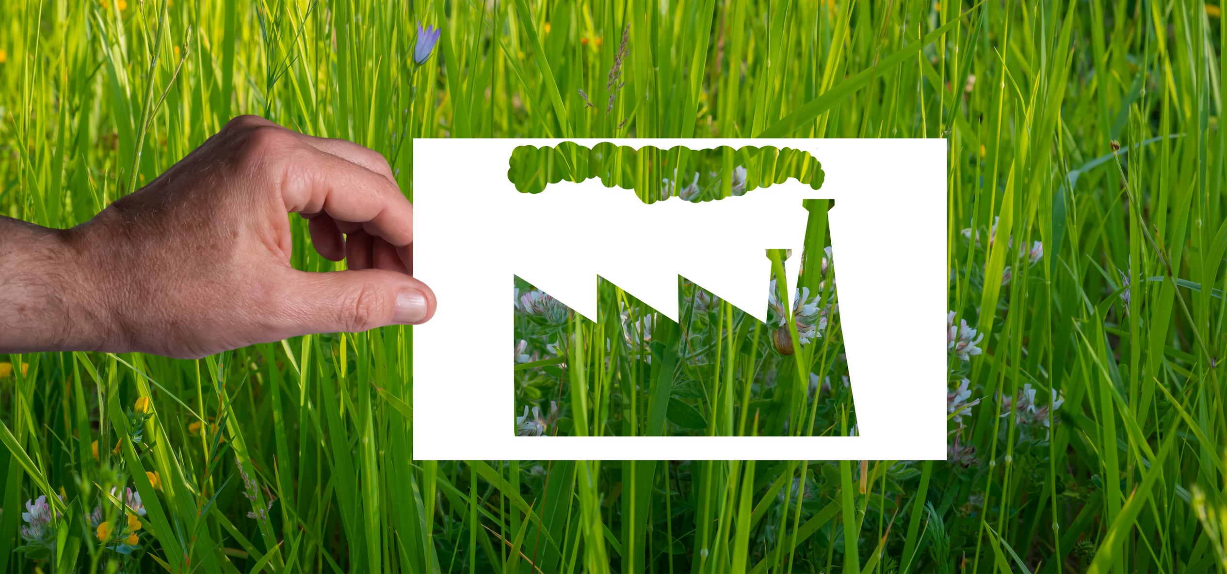 Europa quiere poner coto al 'greenwashing'.