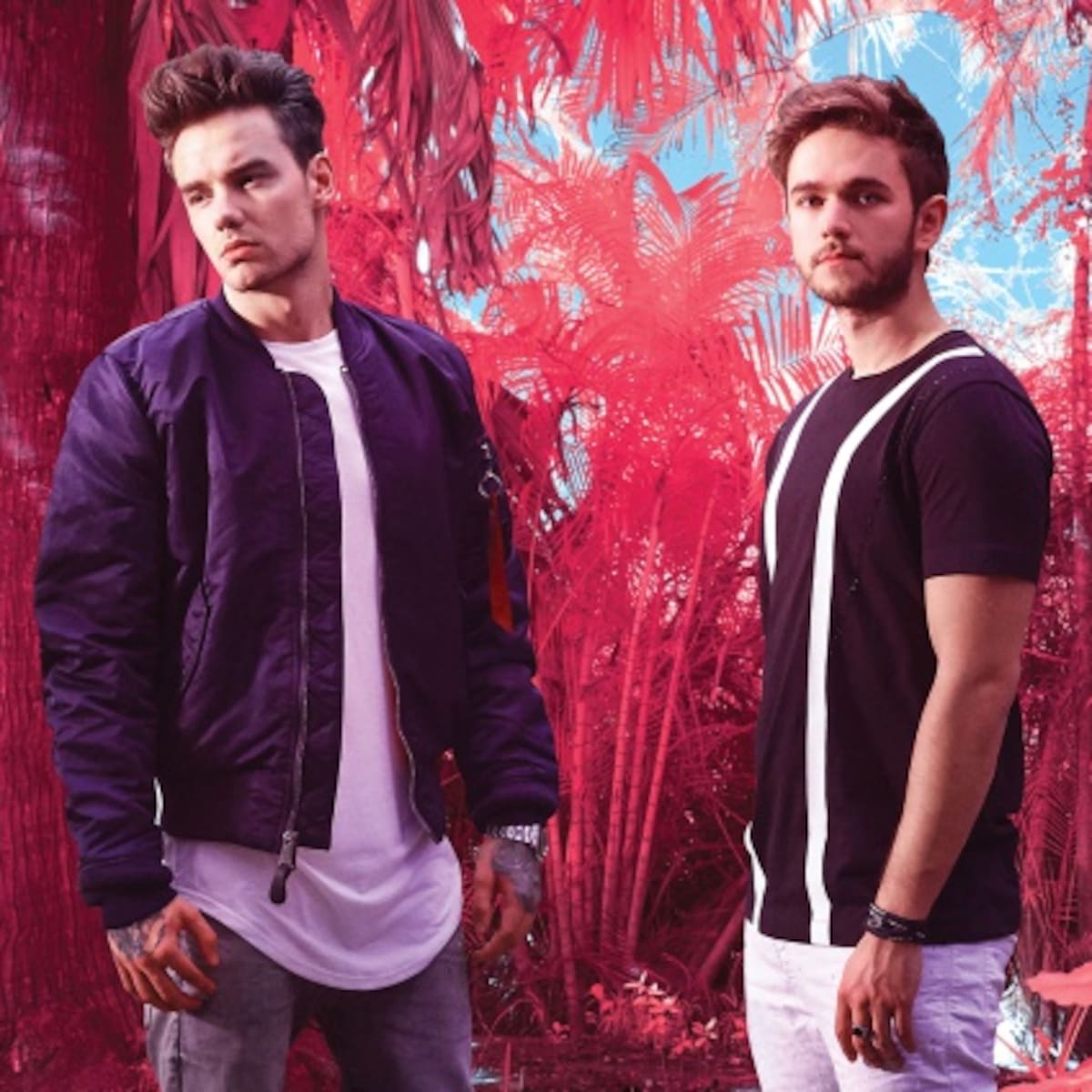 Get Low - Zedd & Liam Payne
