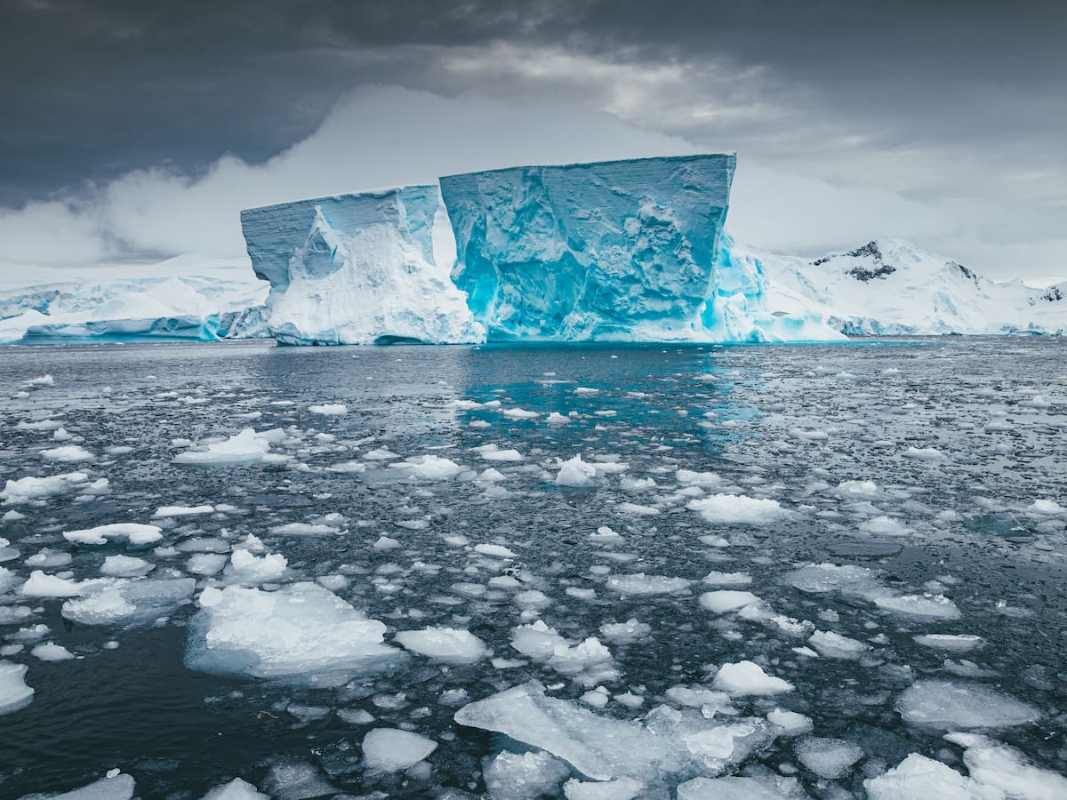 PRISA y Pacto Mundial de la ONU España se unen para combatir la desinformación medioambiental