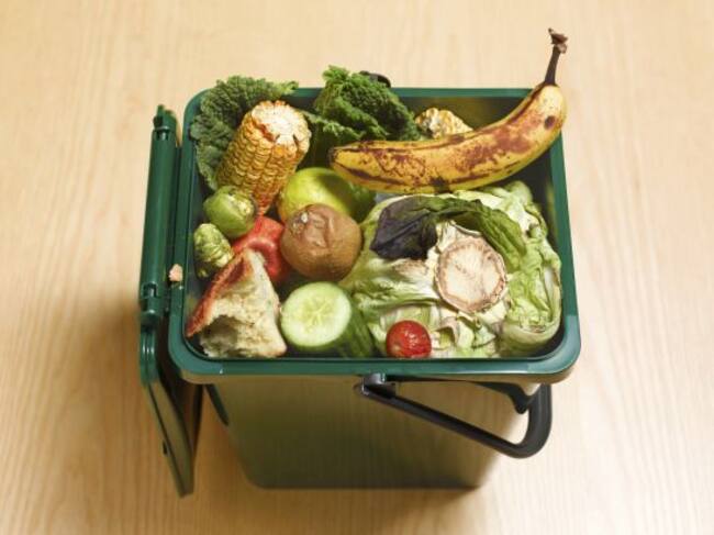 Todo lo que debes saber sobre el compost