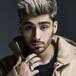 Zayn Malik sufrió un ataque de pánico en pleno show