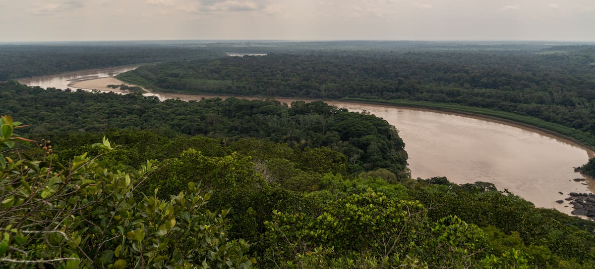 La deforestación de la Amazonia se ha reducido considerablemente.